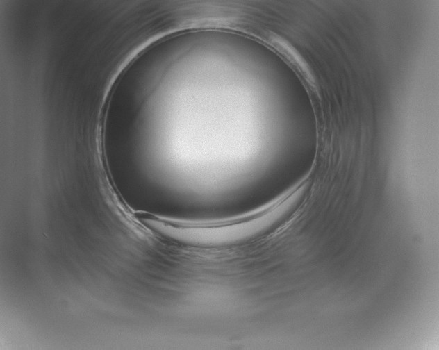 X0000071381340200607071832