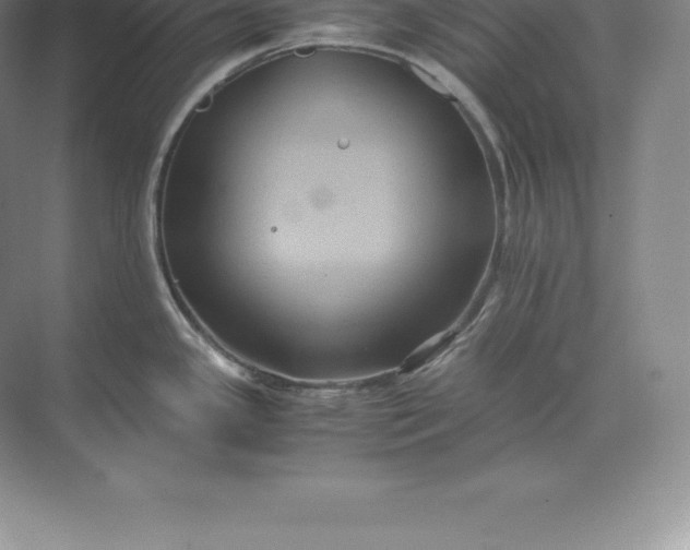 X0000071381341200607071832