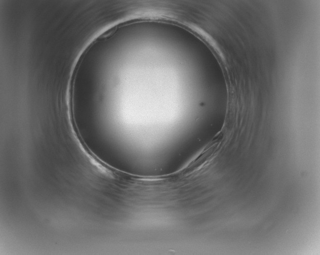 X0000071381343200607071832