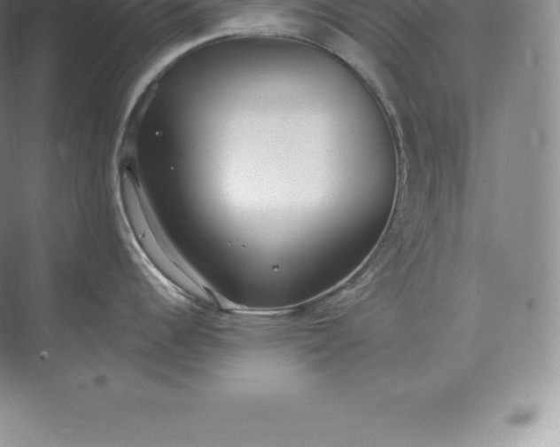 X0000071381344200607071832