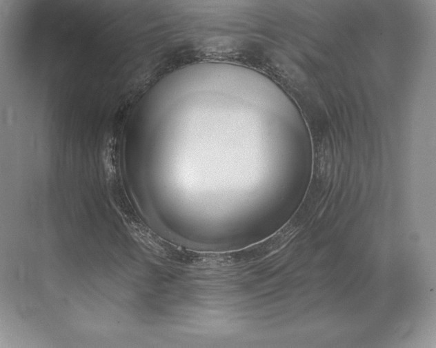 X0000071381346200607071831