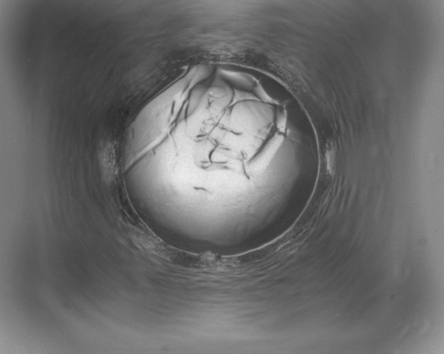 X0000071381347200607071831