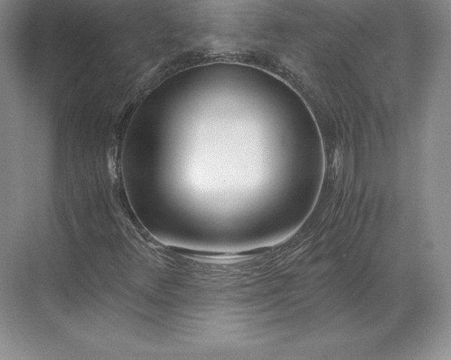 X0000071381348200607071831