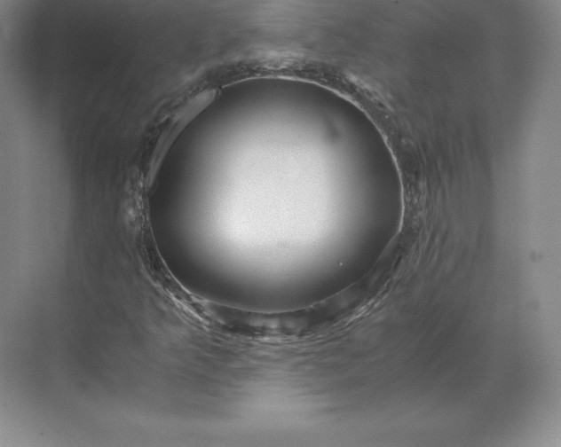 X0000071381349200607071831