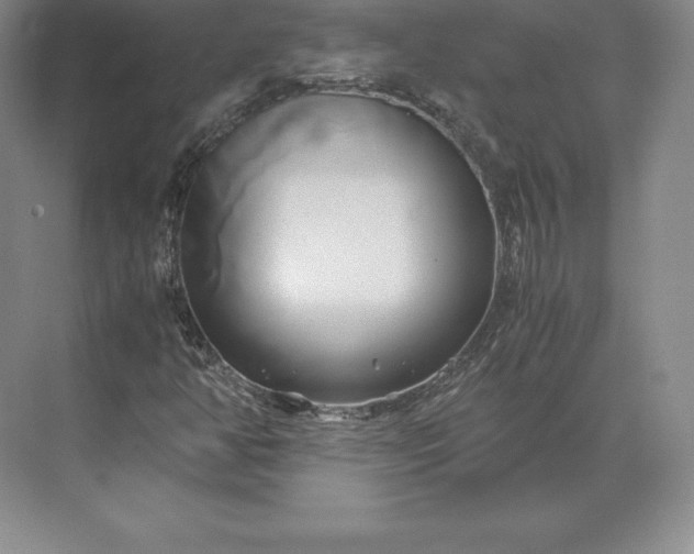 X0000071381350200607071831