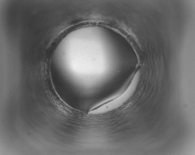 X0000071381352200607071831