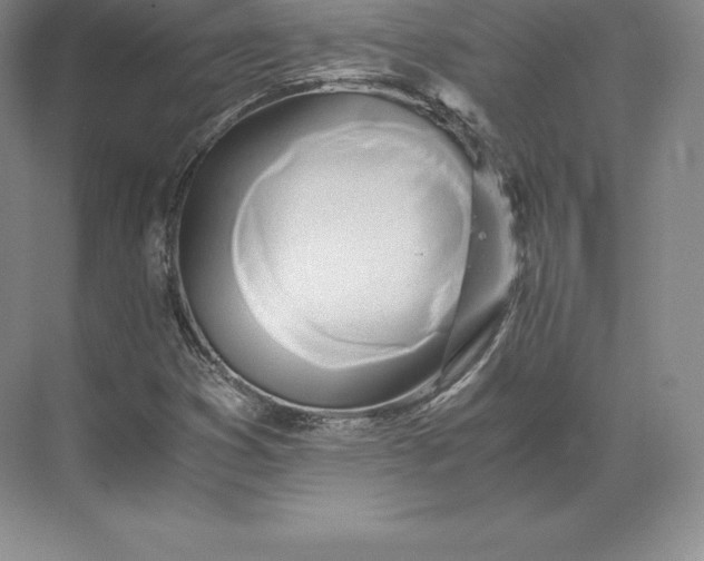 X0000071381353200607071831