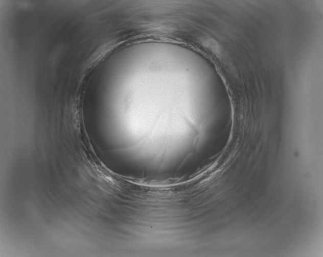 X0000071381354200607071831