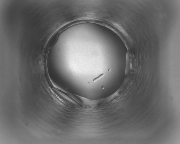 X0000071381356200607071831