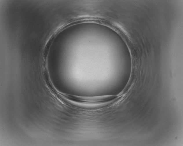 X0000071381357200607071831