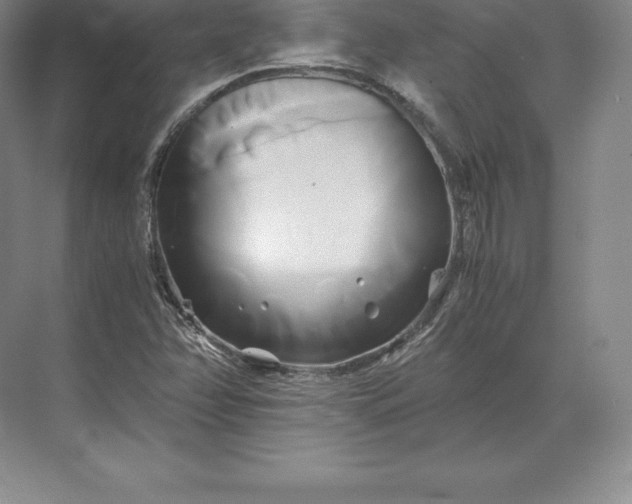 X0000071381358200607071831