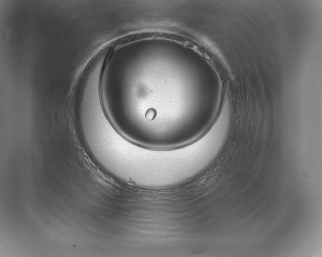 X0000071381360200607071831