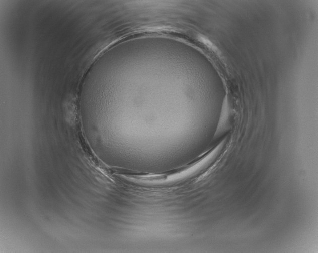 X0000071381361200607071831