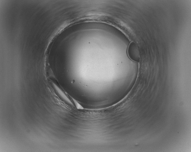 X0000071381362200607071831