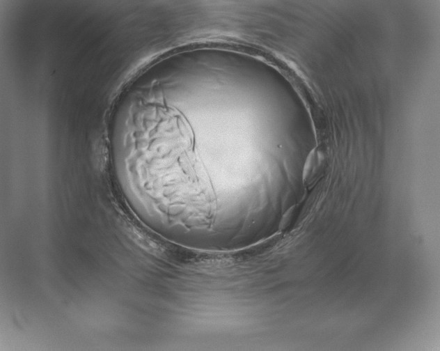 X0000071381363200607071831