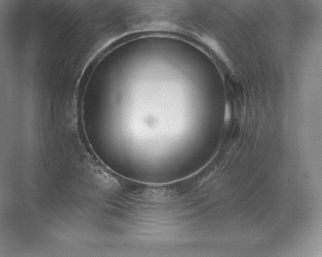 X0000071381364200607071831