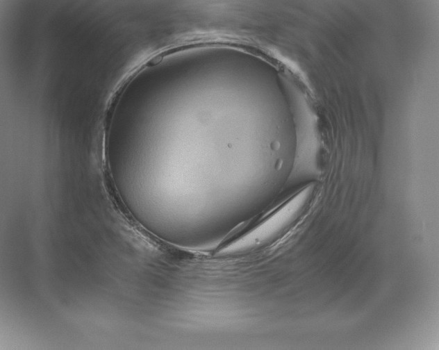 X0000071381365200607071831