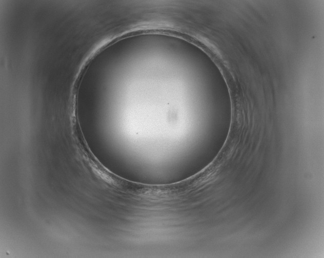 X0000071381366200607071831