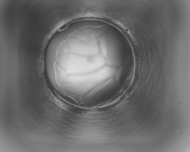 X0000071381367200607071831