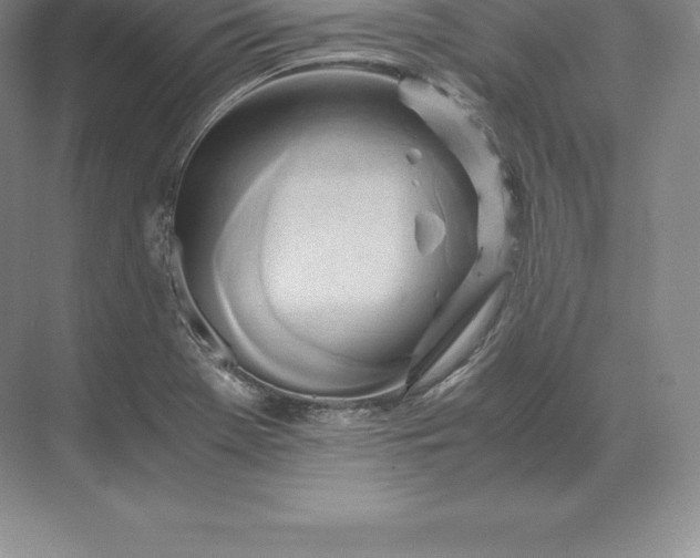 X0000071381369200607071831