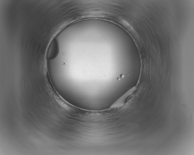 X0000071381370200607071830