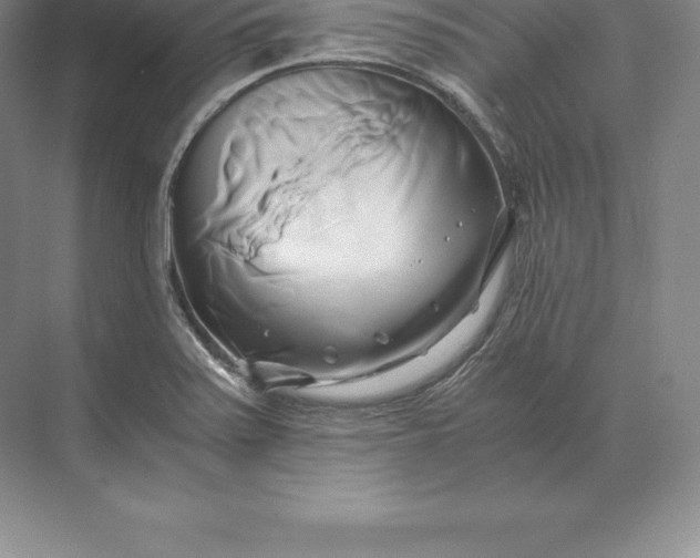 X0000071381371200607071830