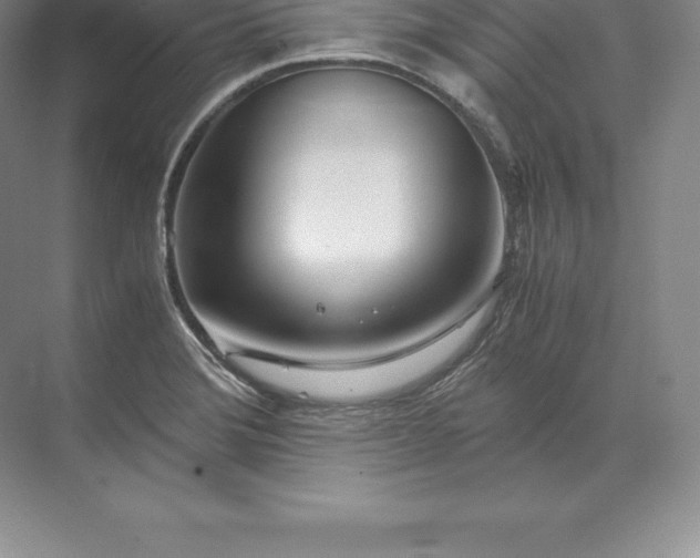 X0000071381372200607071830