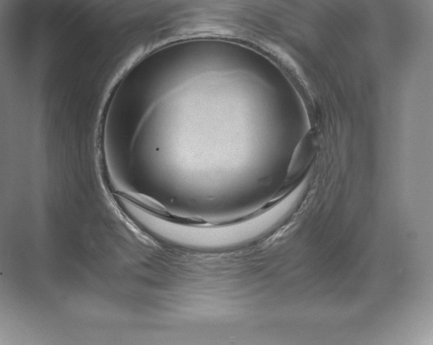 X0000071381373200607071830