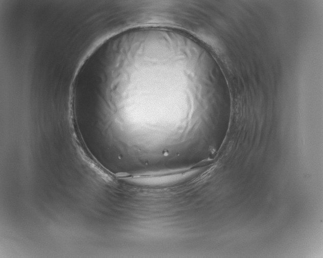 X0000071381374200607071830