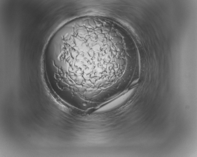 X0000071381375200607071830