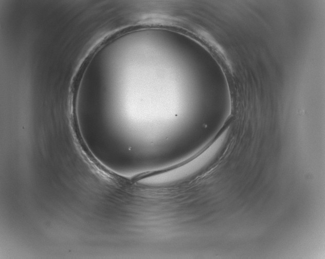 X0000071381376200607071830