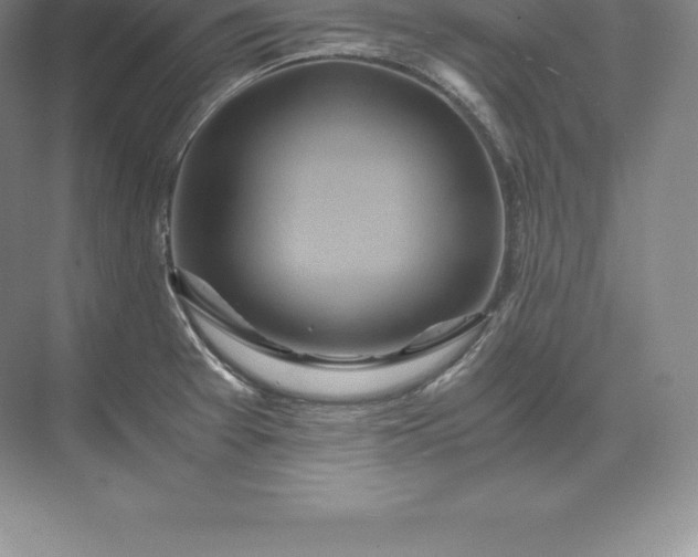 X0000071381377200607071830