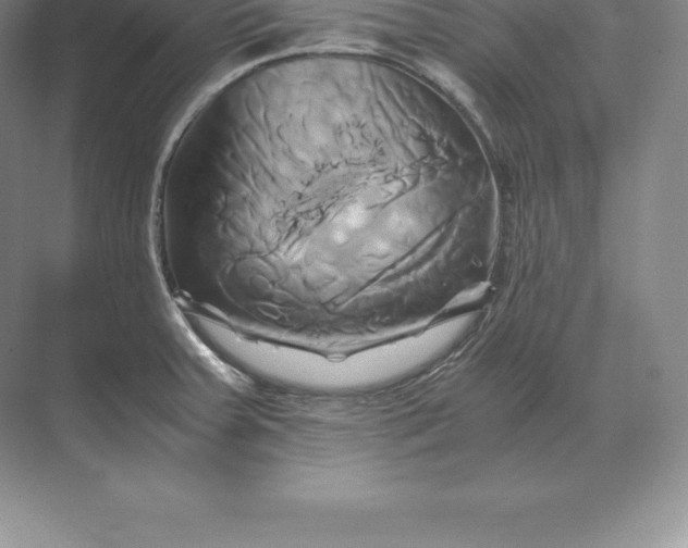 X0000071381379200607071830