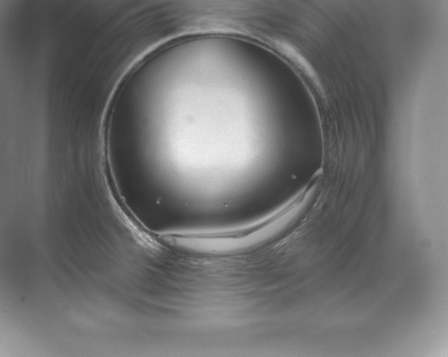 X0000071381380200607071830