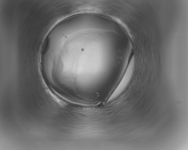 X0000071381383200607071830