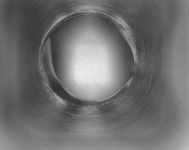 X0000071381384200607071830