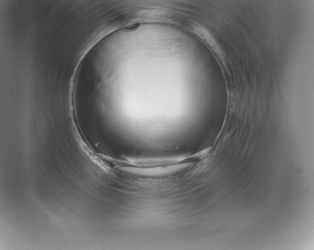 X0000071381386200607071830