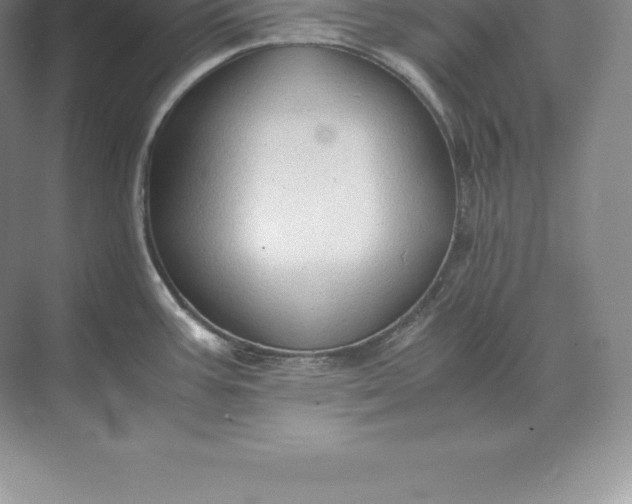 X0000071381387200607071830