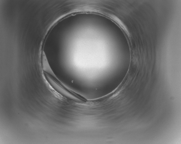 X0000071381388200607071830