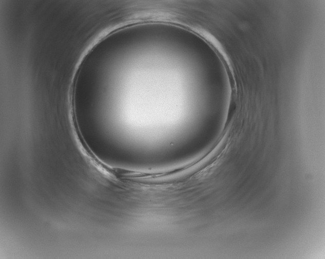 X0000071381389200607071830