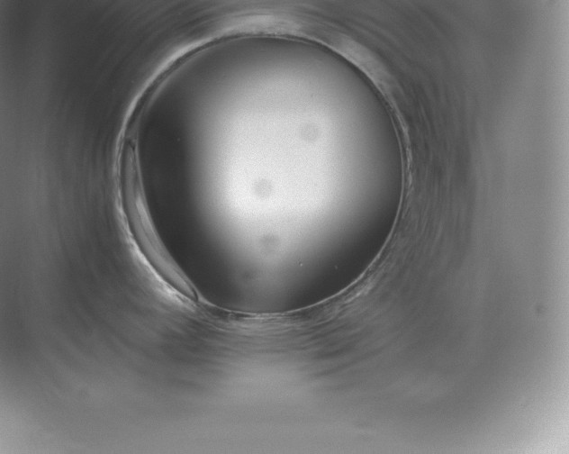 X0000071381392200607071830