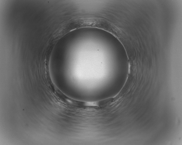 X0000071381394200607071829