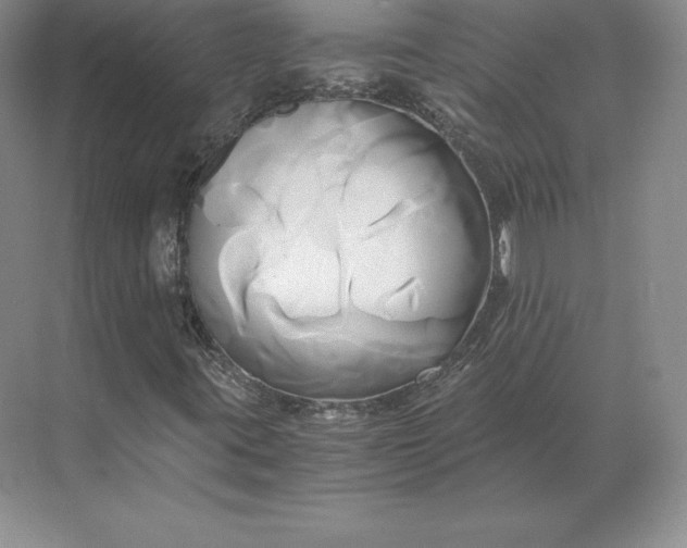 X0000071381395200607071829