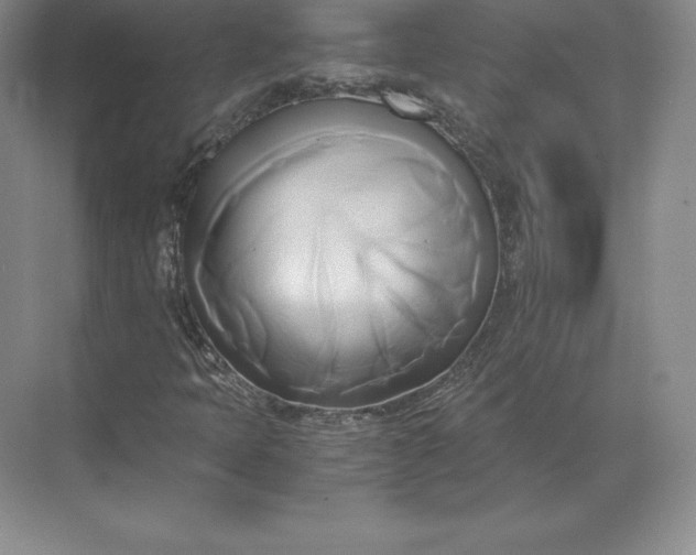 X0000071381397200607071829