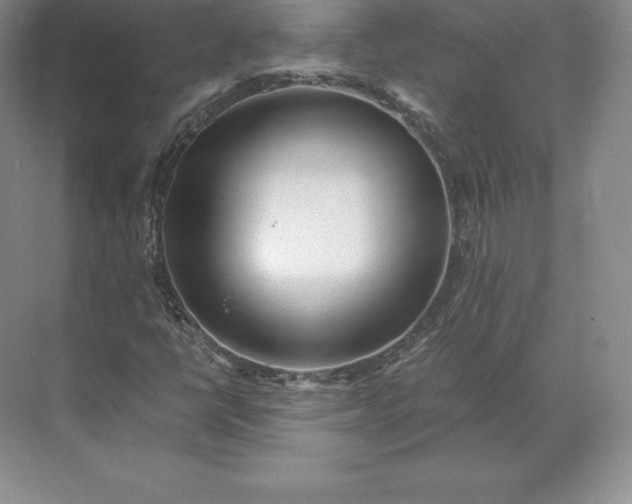 X0000071381398200607071829