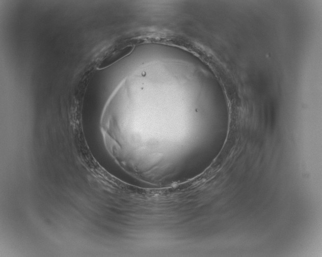 X0000071381399200607071829