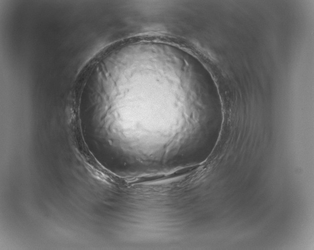 X0000071381400200607071829