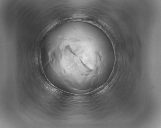 X0000071381401200607071829