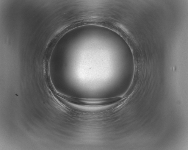 X0000071381402200607071829