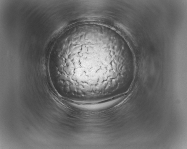 X0000071381403200607071829